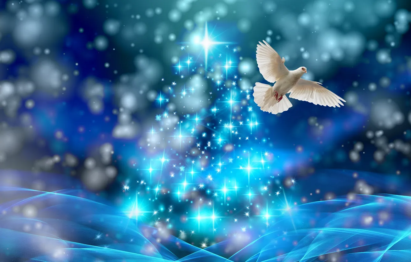 Фото обои голубь, ель, Рождество, звёздочки
