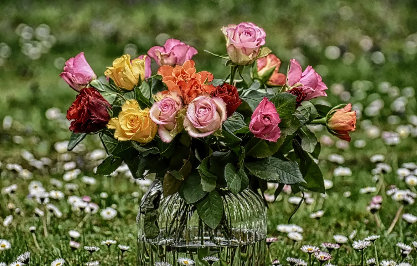 Фото обои лето, трава, цветы, природа, розы, букет, ваза, боке