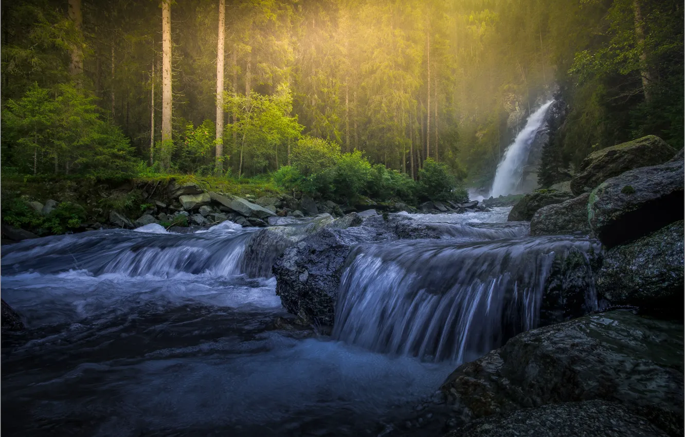 Фото обои лес, свет, река, камни, берег, водопад, поток, сосны
