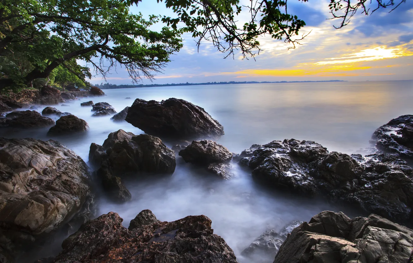 Фото обои море, деревья, камни, берег