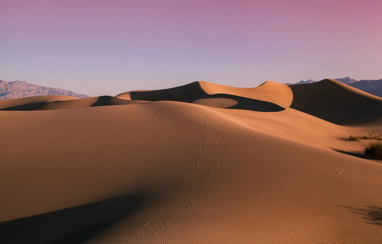 Фото обои песок, пейзаж, пустыня, дюны