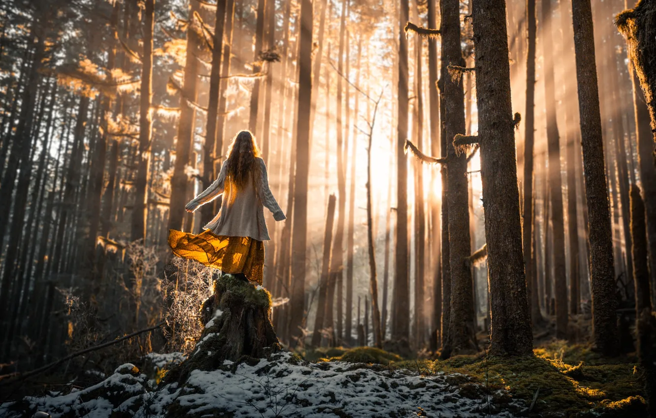 Фото обои лес, девушка, лучи, свет