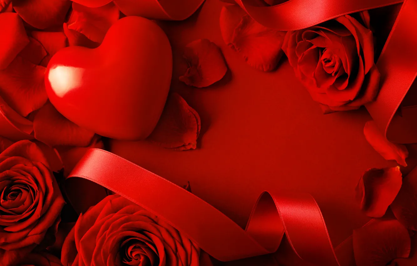 Фото обои цветы, роза, лента, красная, сердечко, день святого валентина
