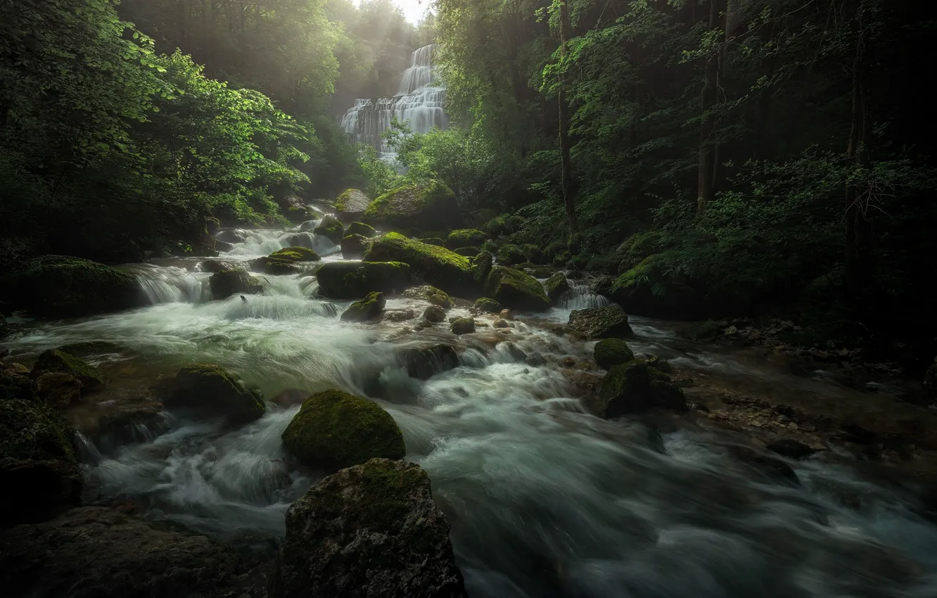 Фото обои лес, природа, река, камни, водопад