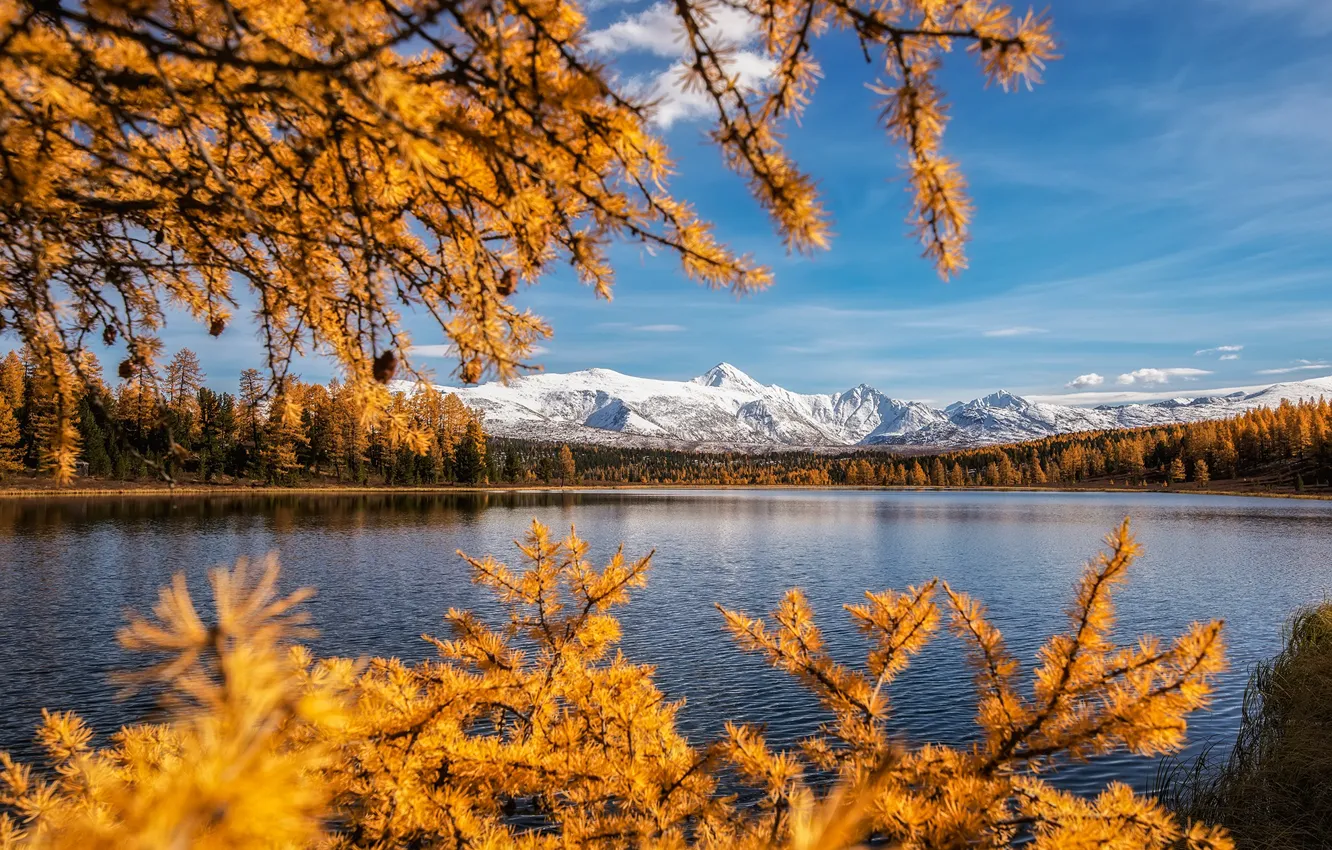 Фото обои осень, пейзаж, горы, ветки, природа, озеро, берег, леса