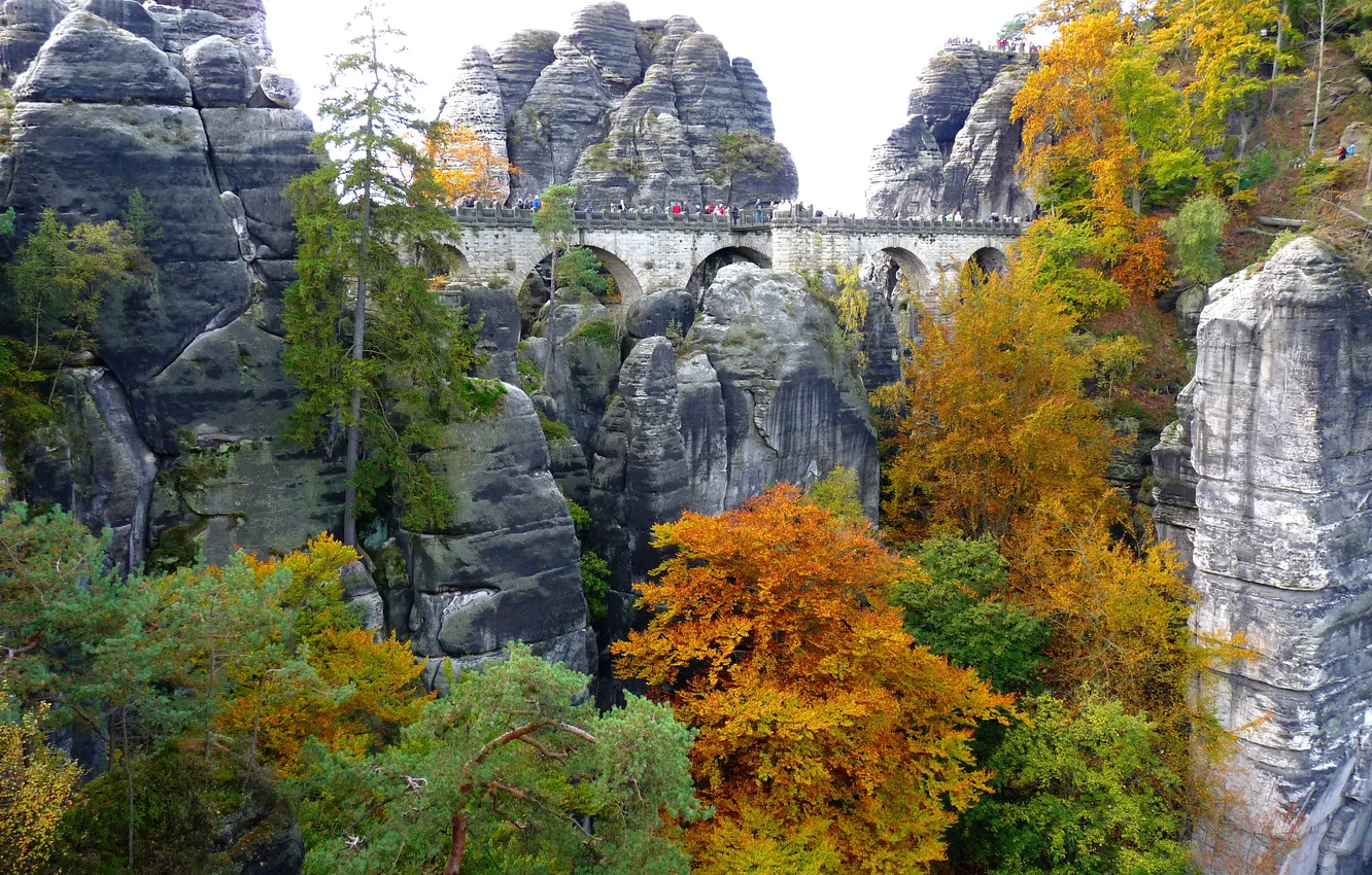 Фото обои деревья, мост, камни, люди, скалы, листва, арочный, жёлто-зелёная