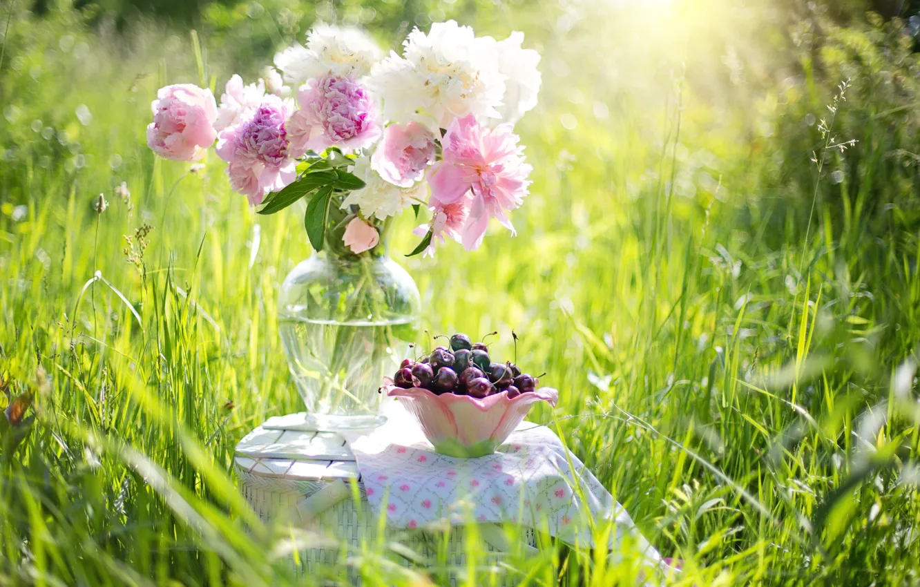 Фото обои лето, трава, цветы, природа, ягоды, ваза, натюрморт, черешня