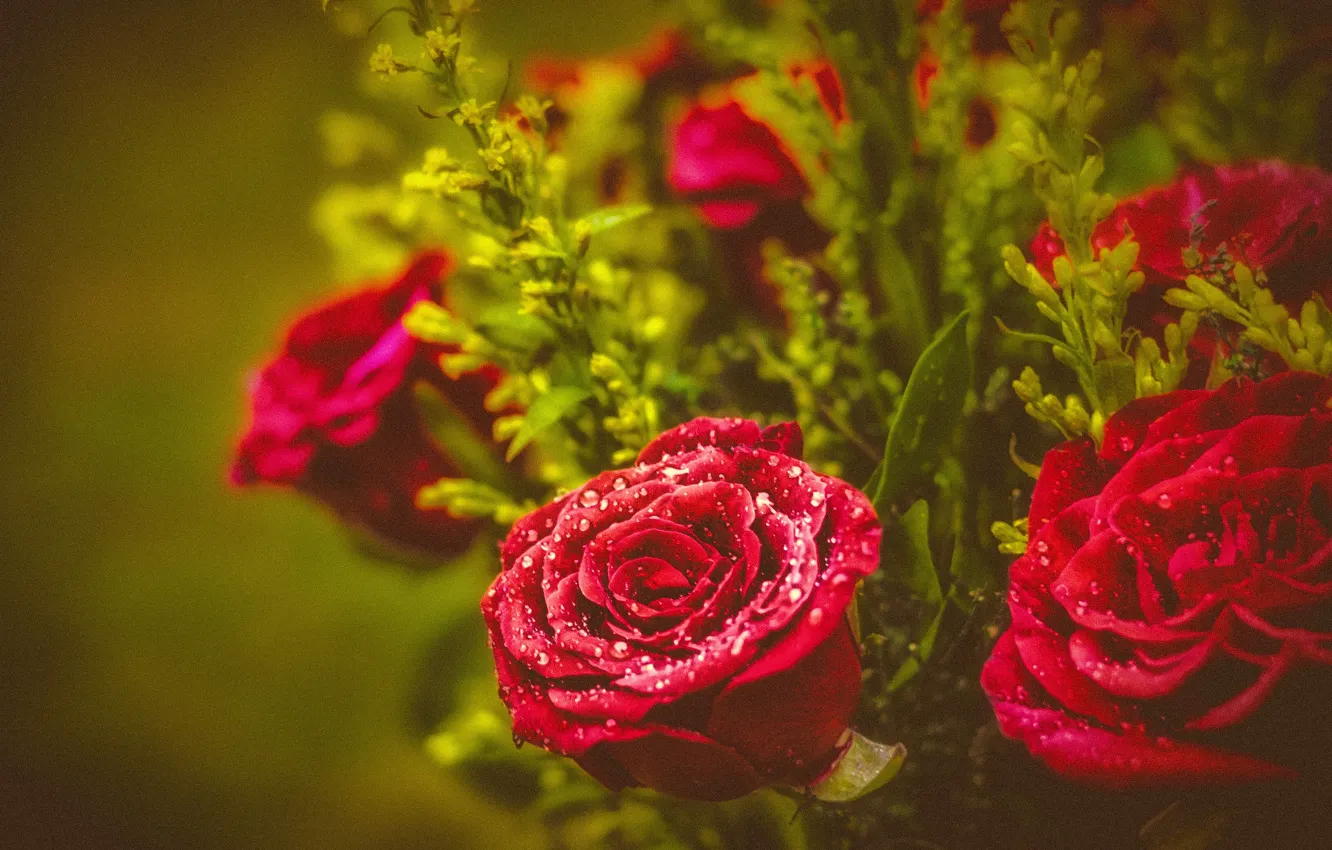 Фото обои капли, розы, букет, бутоны