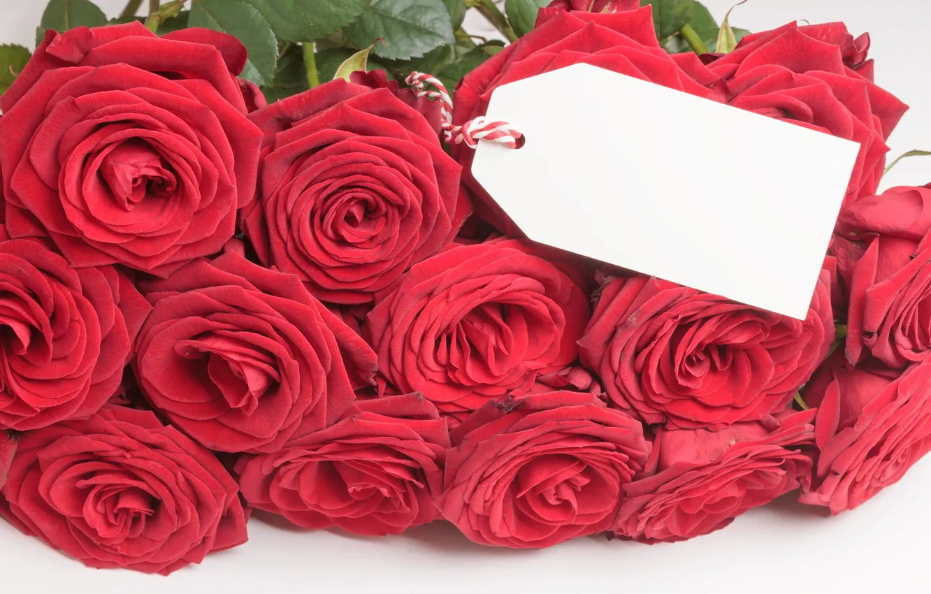 Фото обои цветы, розы, букет, красные, red, бутоны, flowers, romantic