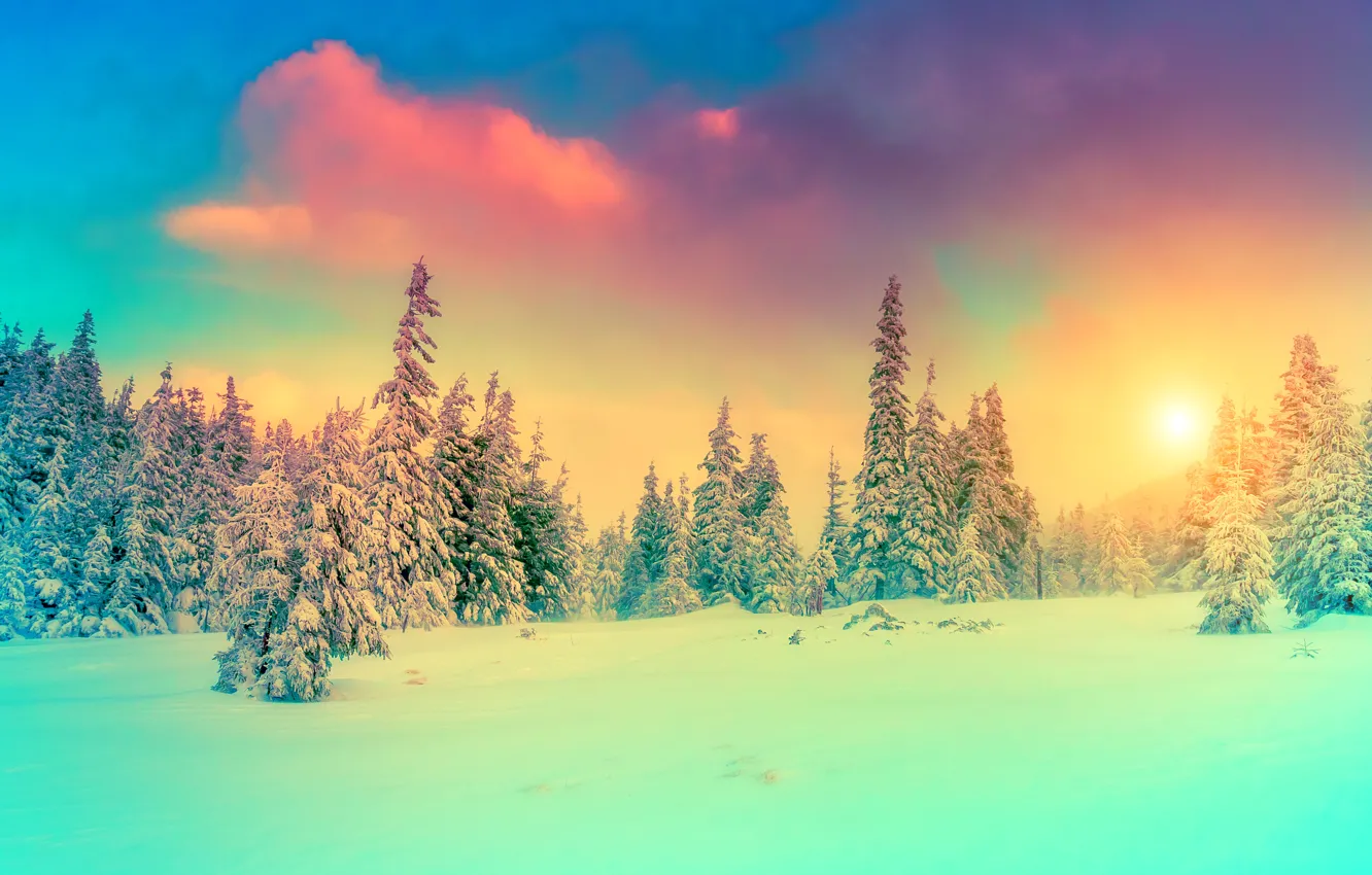 Фото обои зима, небо, снег, пейзаж, природа, фото, ель