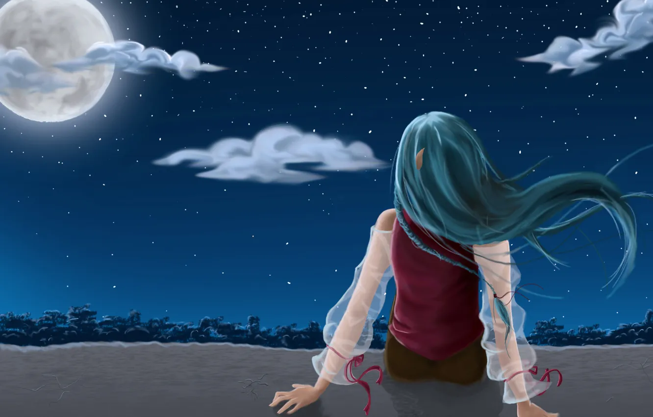 Фото обои девушка, звезды, деревья, ночь, луна, волосы, спина, аниме