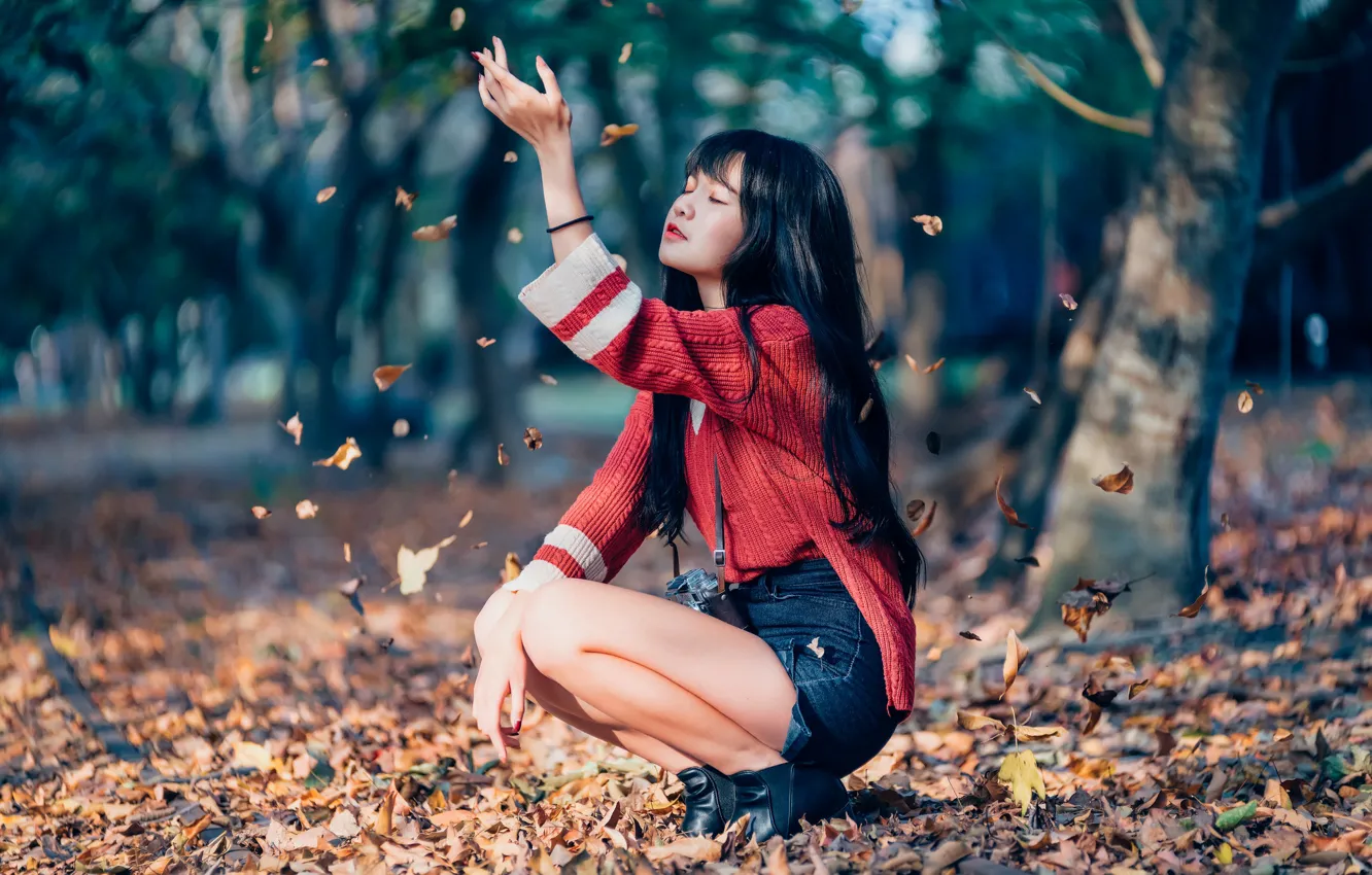 Фото обои осень, девушка, листва