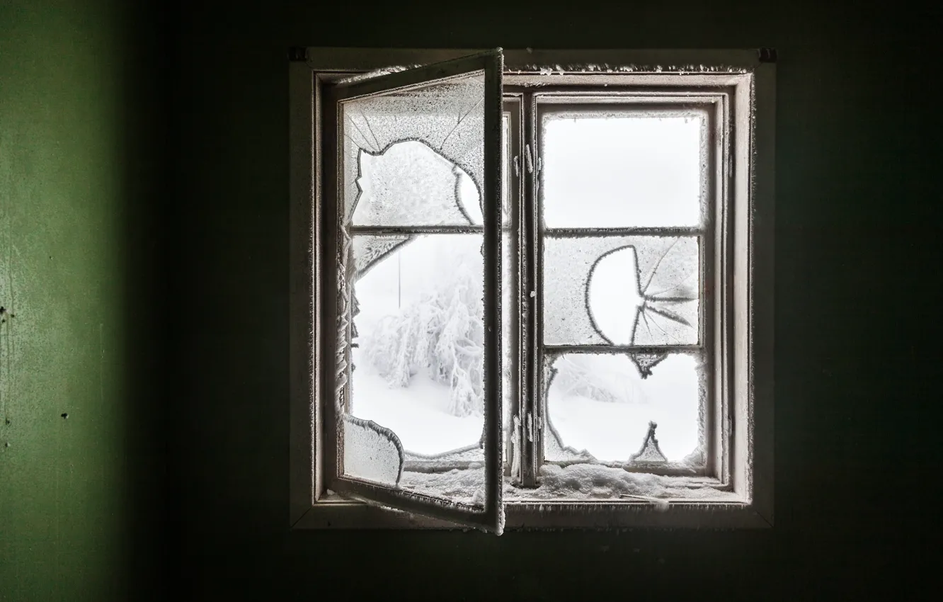 Фото обои зима, комната, окно