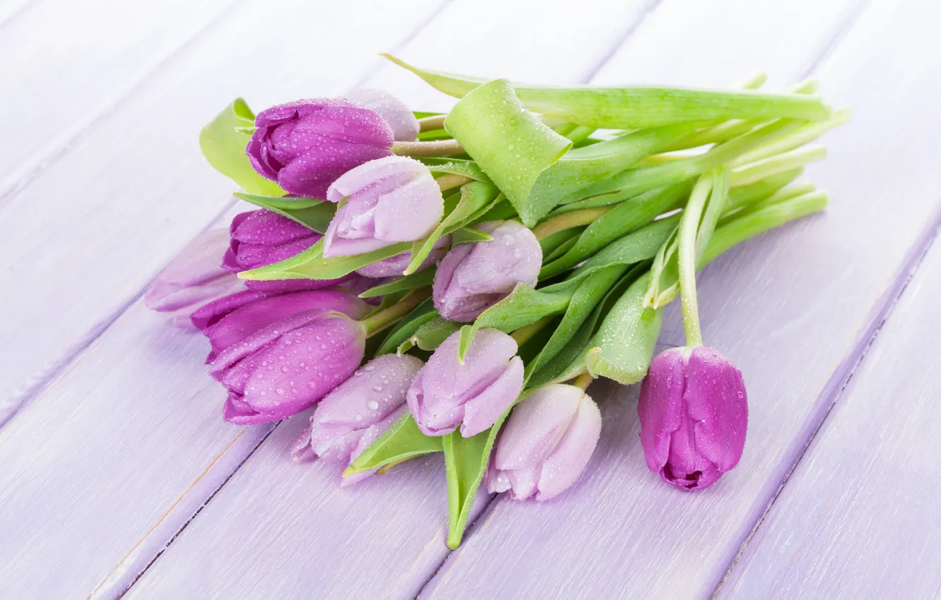 Фото обои цветы, букет, тюльпаны, wood, flowers, tulips, spring, purple