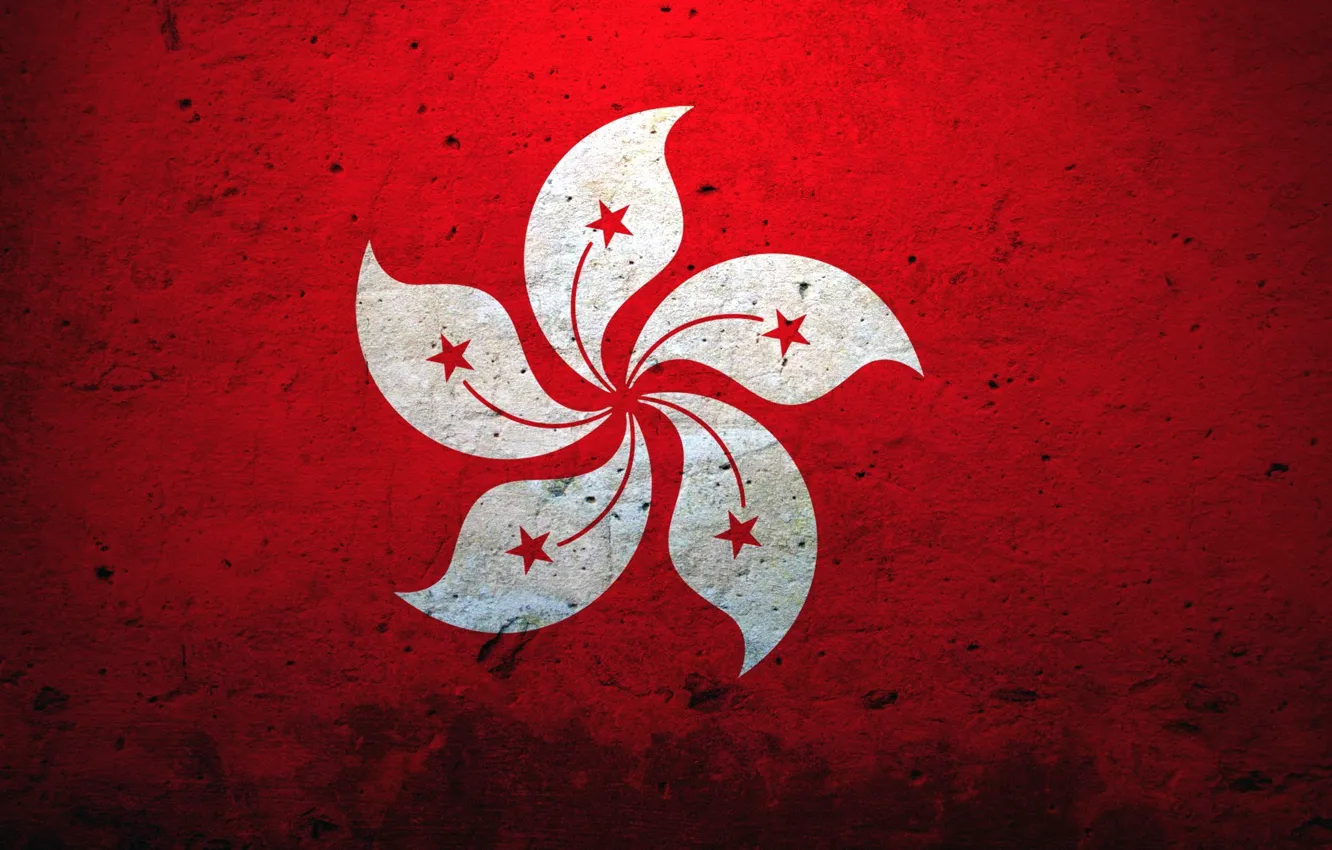 Фото обои цветок, китай, лилия, Флаг, эмблема, герб, гон-конг