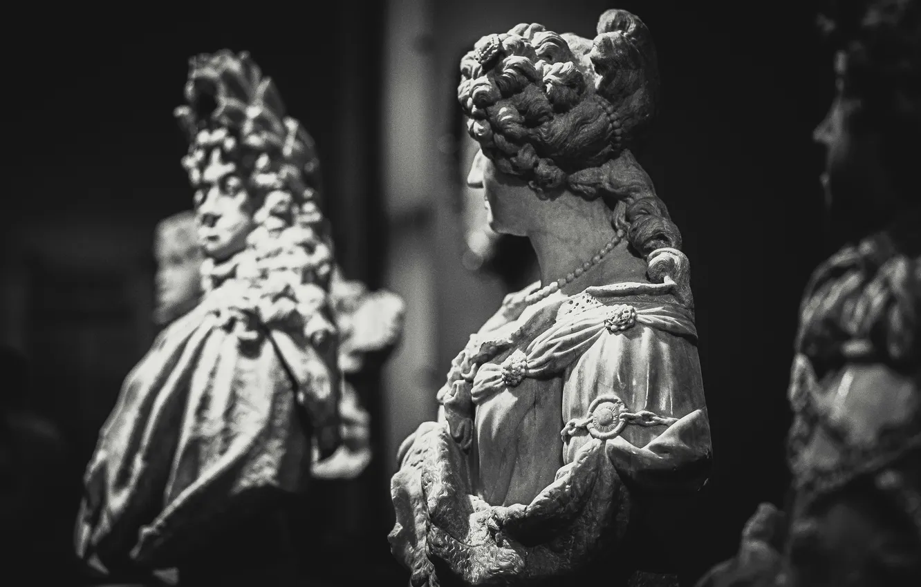 Фото обои Lady, Human, Person, Adult