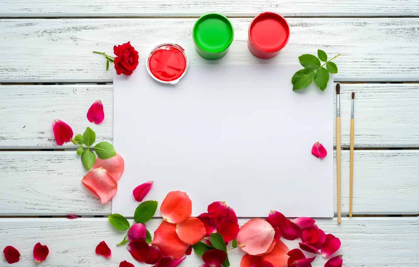 Фото обои краски, розы, лепестки, pink, flowers, roses, розовые розы