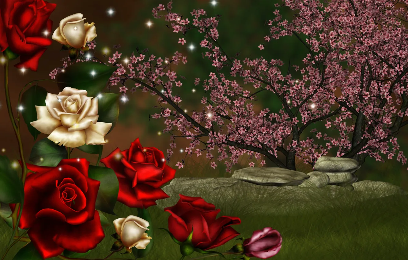 Фото обои камни, коллаж, розы, цветение