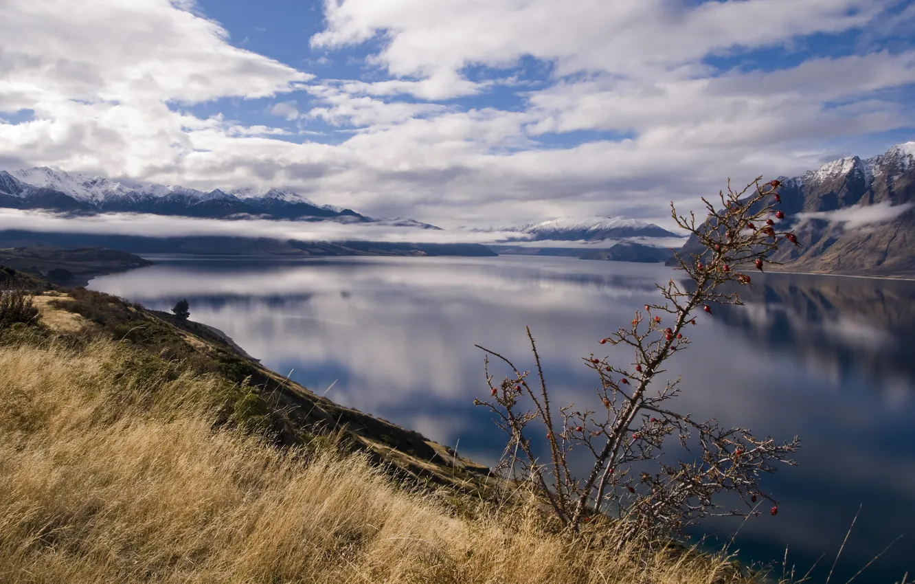 Фото обои трава, вода, горы, природа, фото, пейзажи, вид, новая зеландия