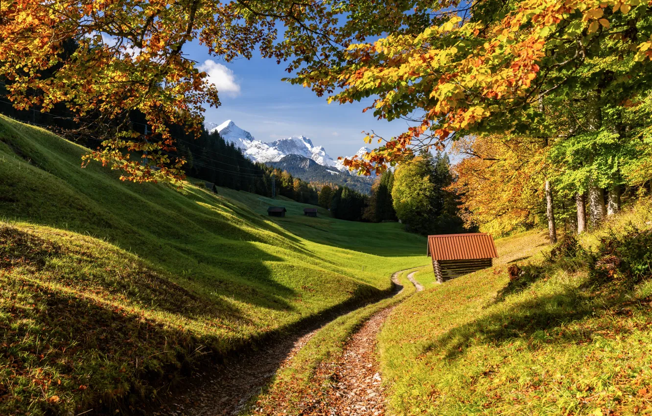 Фото обои дорога, осень, лес, деревья, горы, Германия, Бавария, Germany