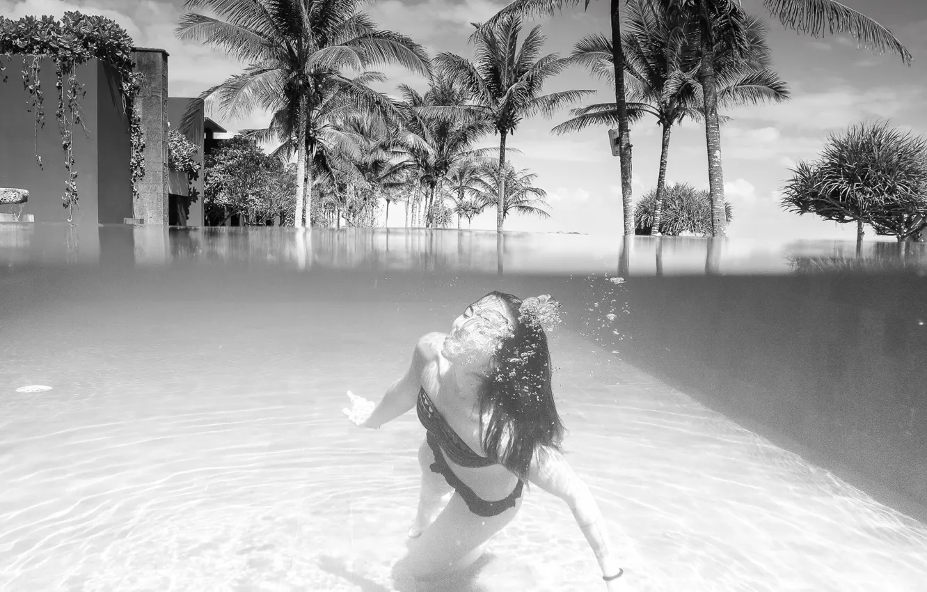 Фото обои лето, девушка, бассейн, бикини, гостиница, кокосовые пальмы