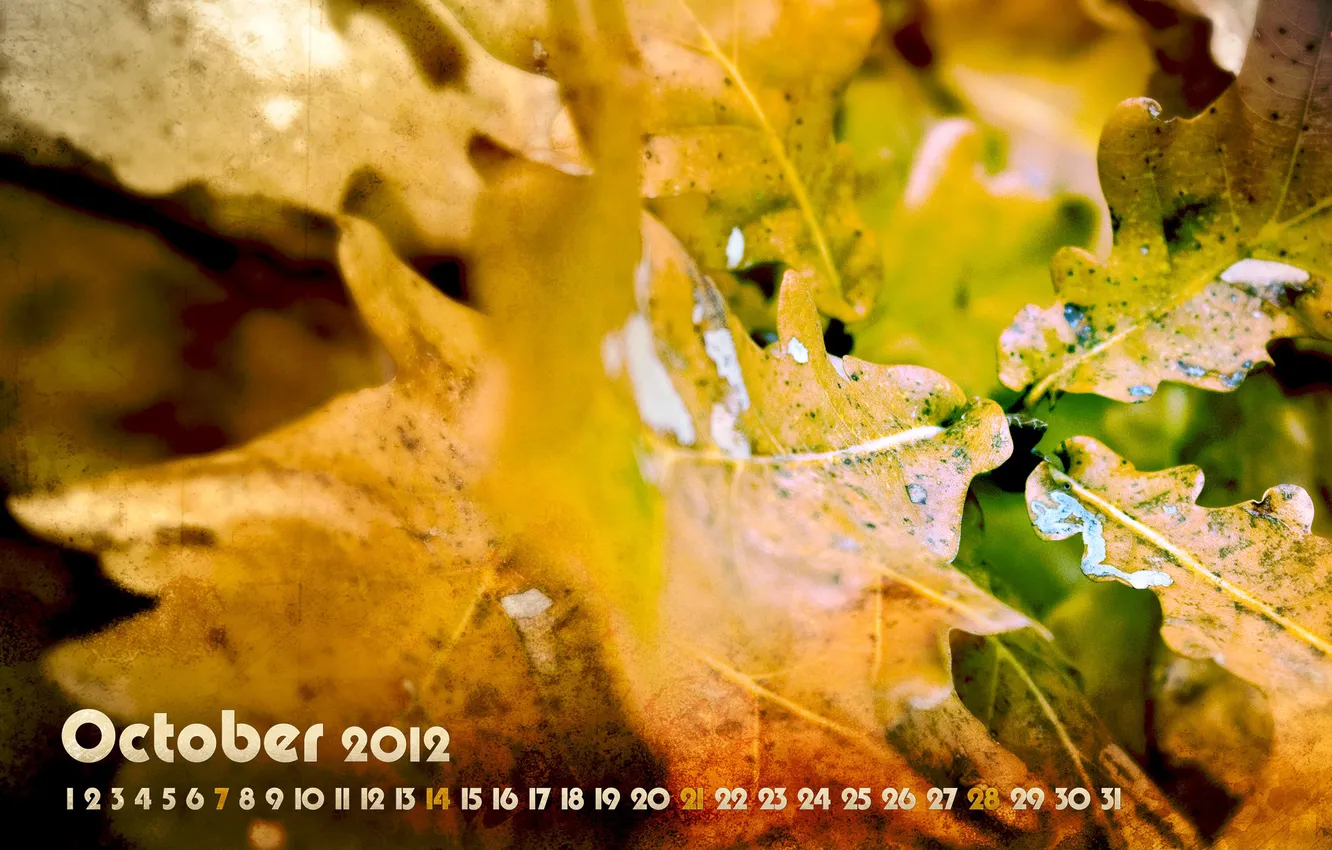 Фото обои осень, листья, желтый, листва, месяц, октябрь, 2012, календарь