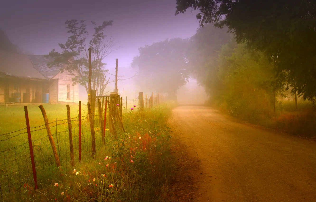 Фото обои дорога, природа, туман, дом, забор, утро
