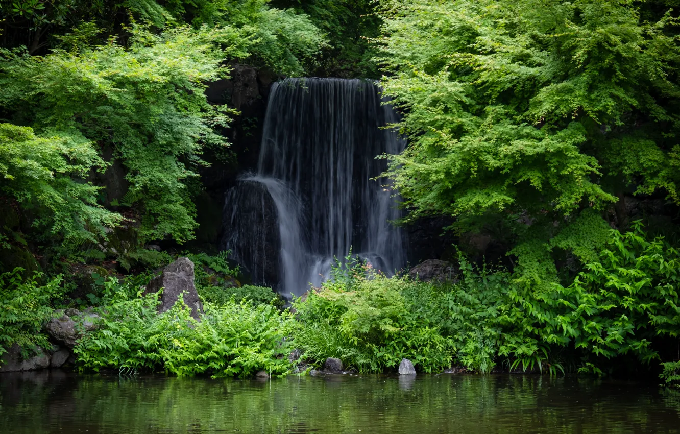 Фото обои лес, водопад, Япония, Экспо Мемориальный Парк