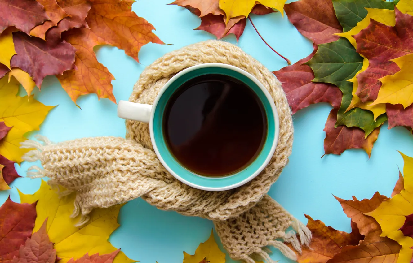 Фото обои осень, листья, шарф, wood, autumn, leaves, coffee cup, чашка кофе