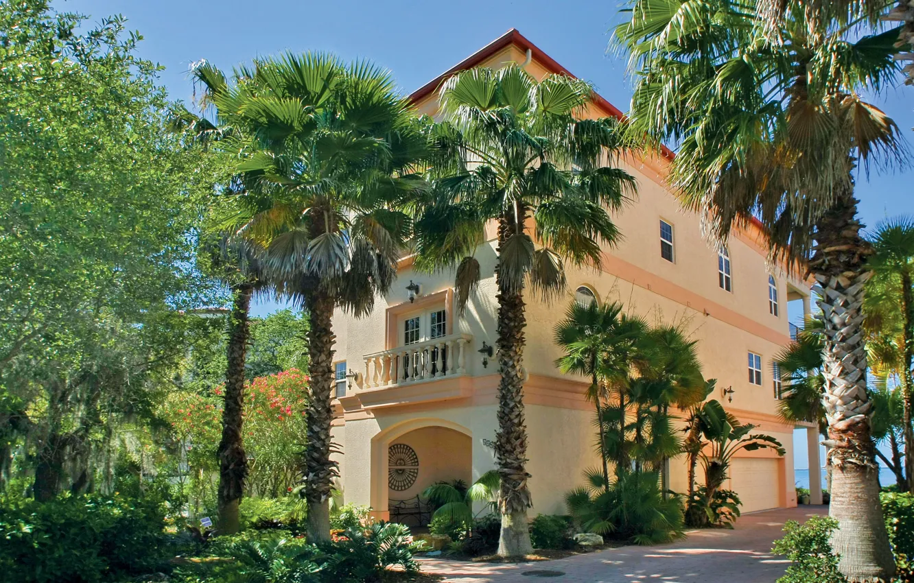 Фото обои город, пальмы, вилла