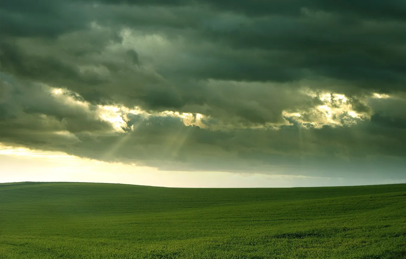 Фото обои поле, трава, облака, свет