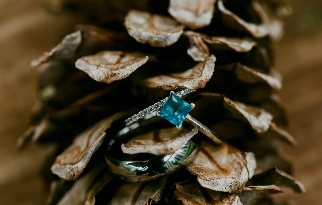 Фото обои камень, кольцо, шишка