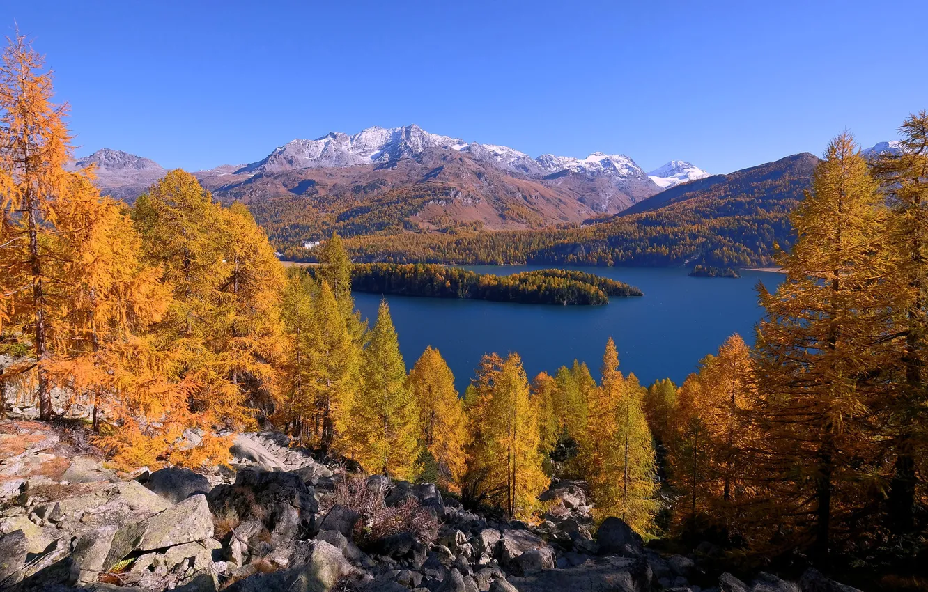 Фото обои осень, деревья, горы, озеро, Швейцария, Альпы, Switzerland, Engadin