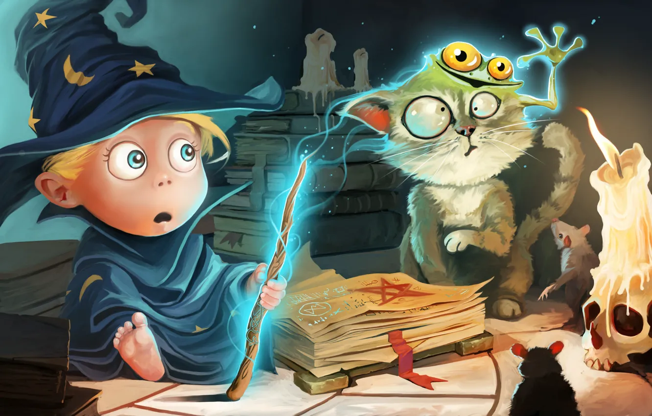 Фото обои кот, магия, книги, череп, лягушка, удивление, шляпа, свечи