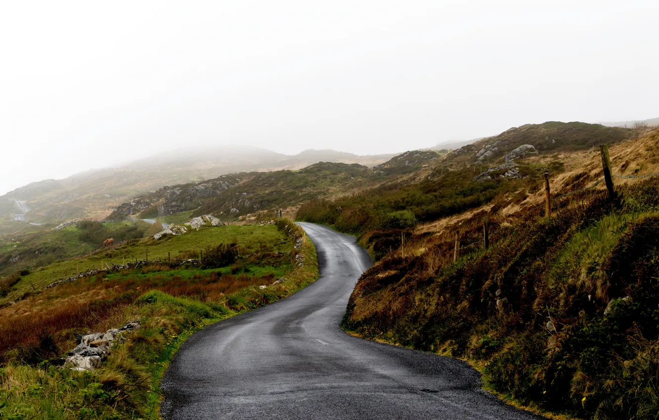 Фото обои road, fog, hills