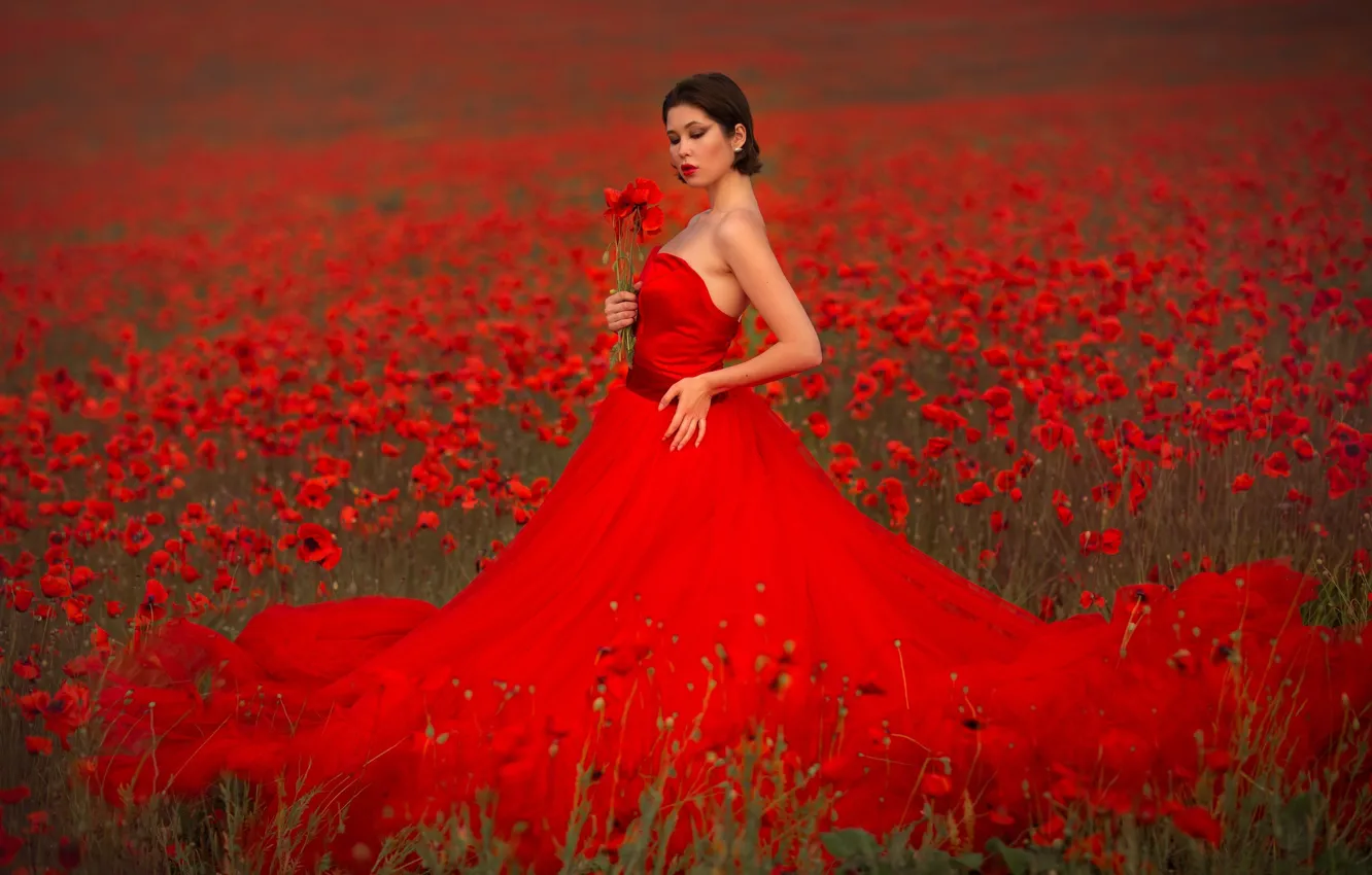 Фото обои девушка, цветы, поза, стиль, модель, маки, декольте, красное платье