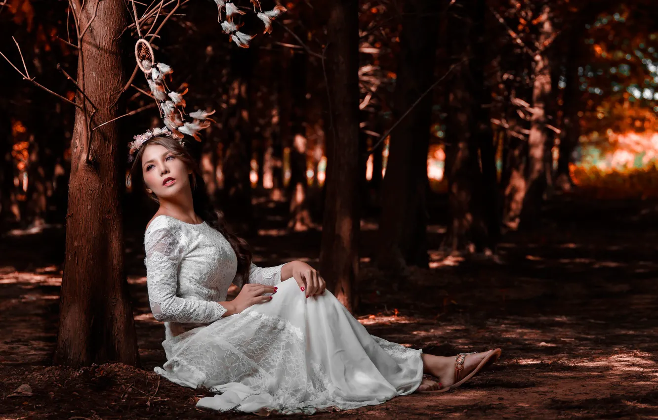 Фото обои лес, девушка, платье, невеста