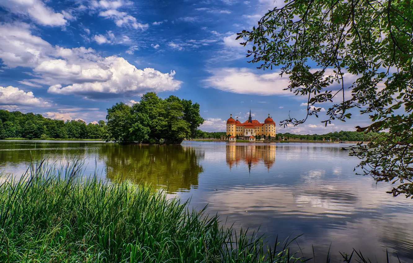 Фото обои небо, деревья, озеро, замок, башня, Германия, Саксония, Морицбург