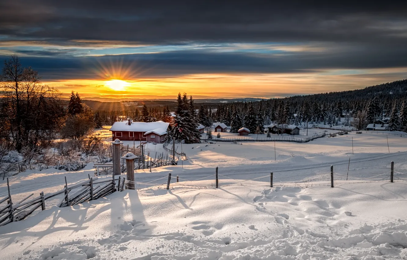 Фото обои зима, лес, Норвегия, Лиллехаммер, Lillehammer