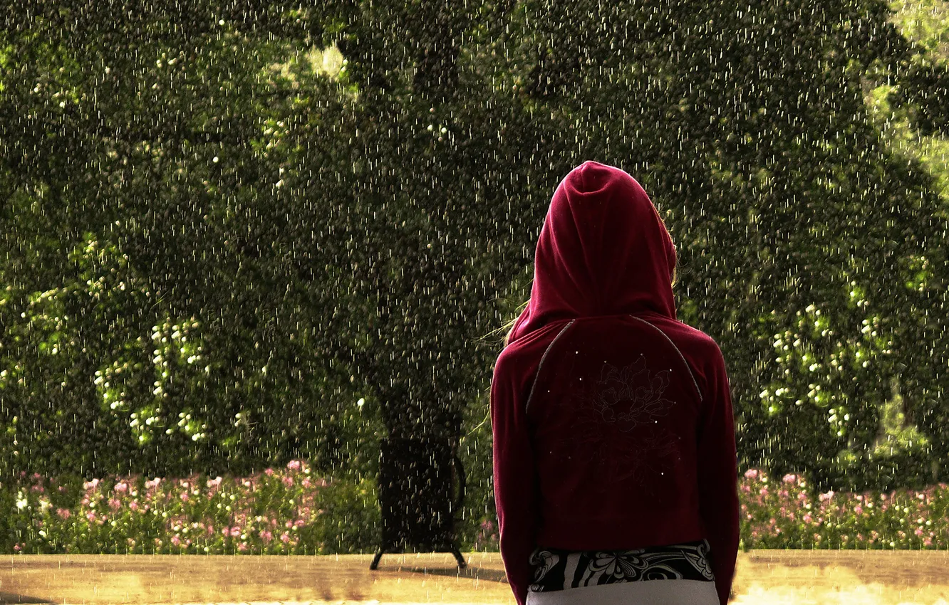 Фото обои девушка, дождь, сад