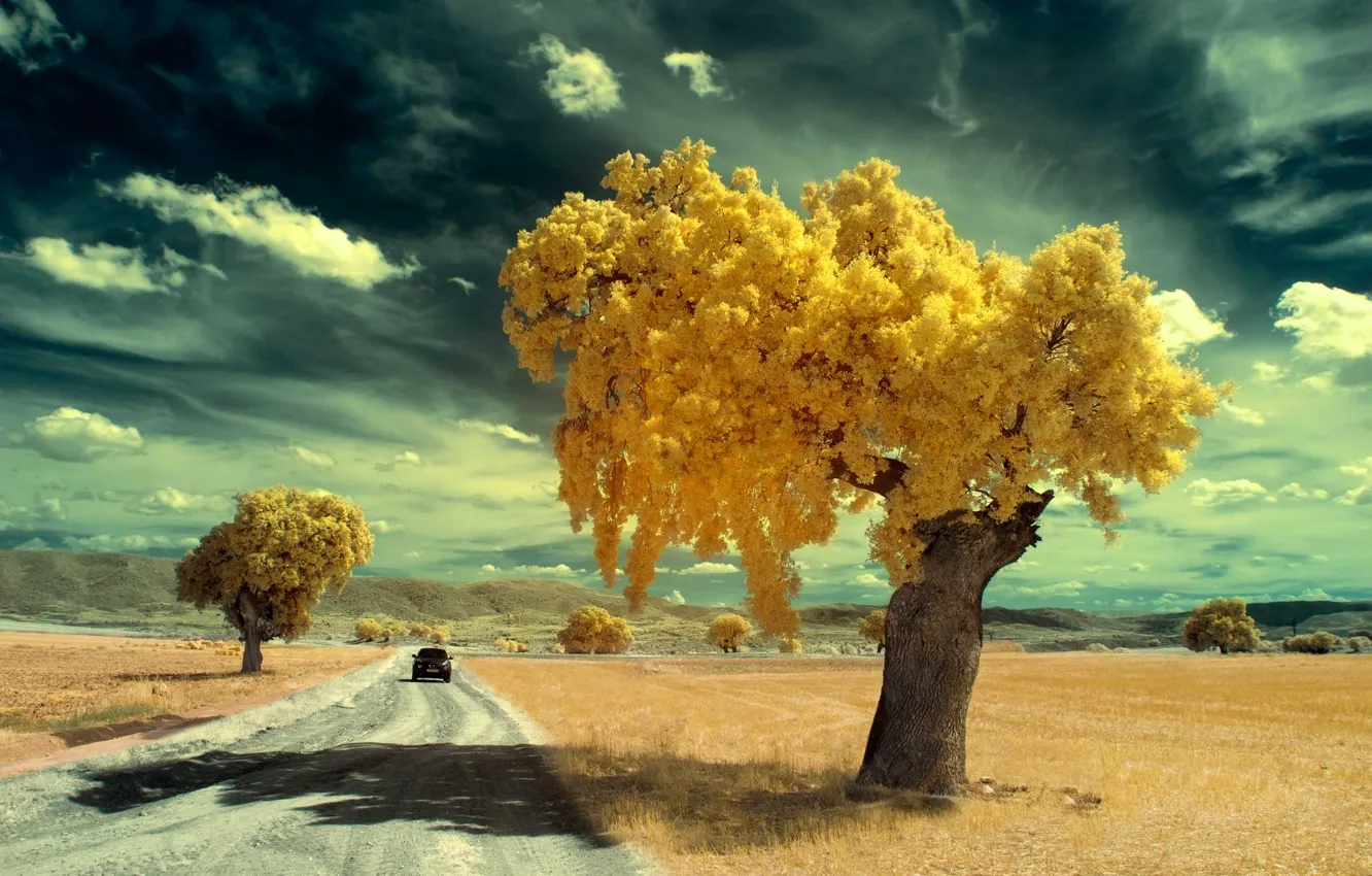 Фото обои Испания, sky, yellow, tree, Canon, Spain, infrared, journey