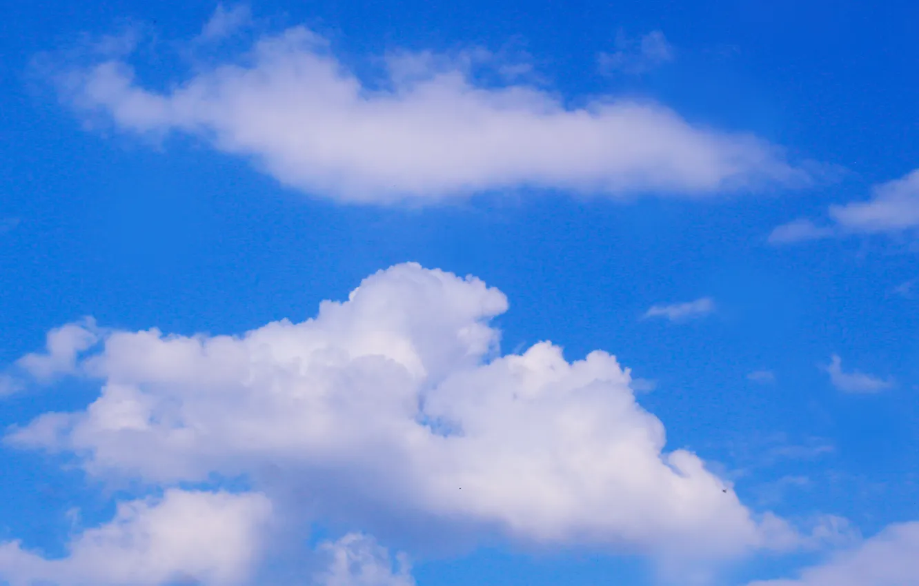 Фото обои sky, blue, cloud