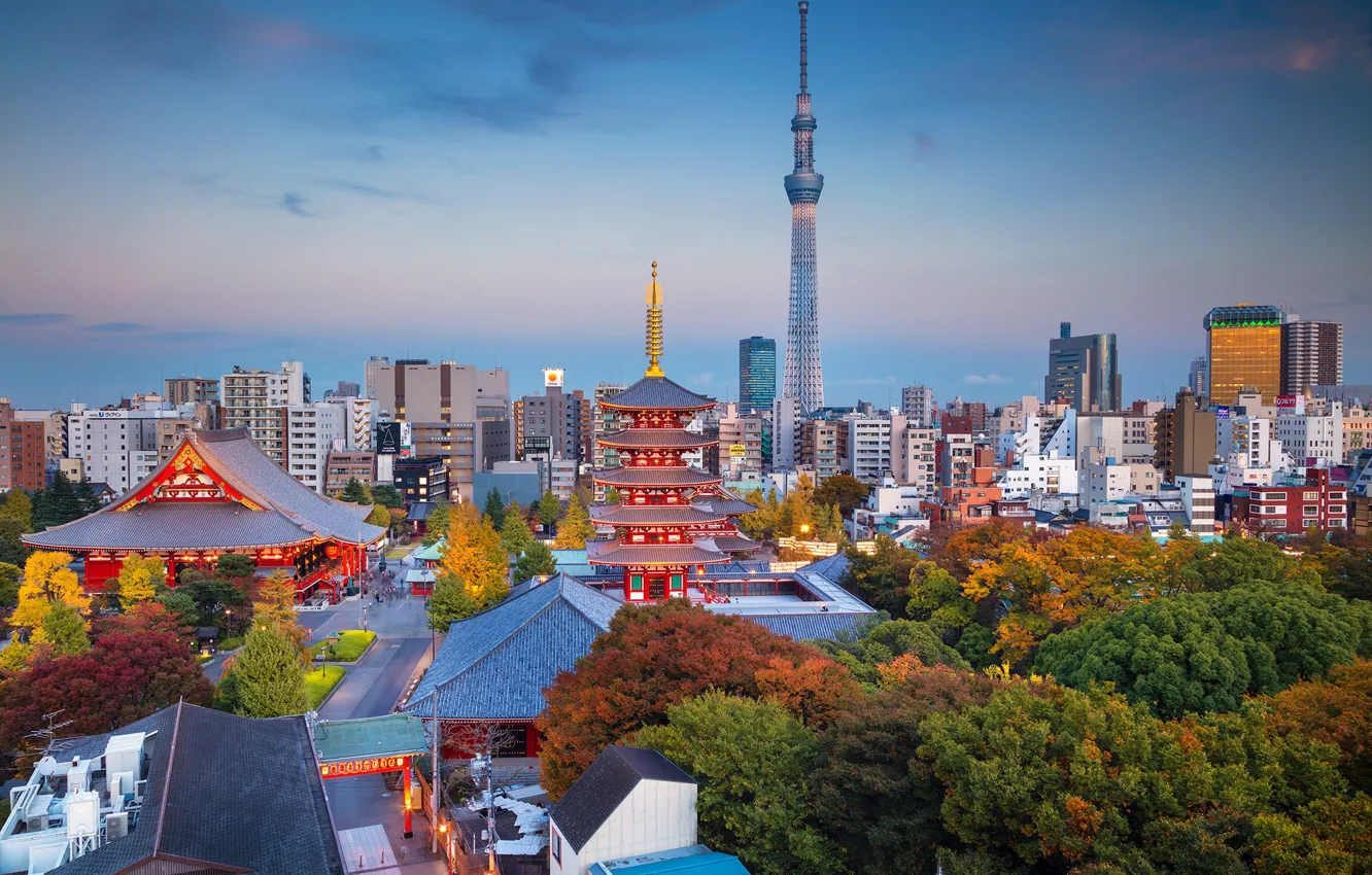 Фото обои осень, башня, дома, Япония, Токио, панорама
