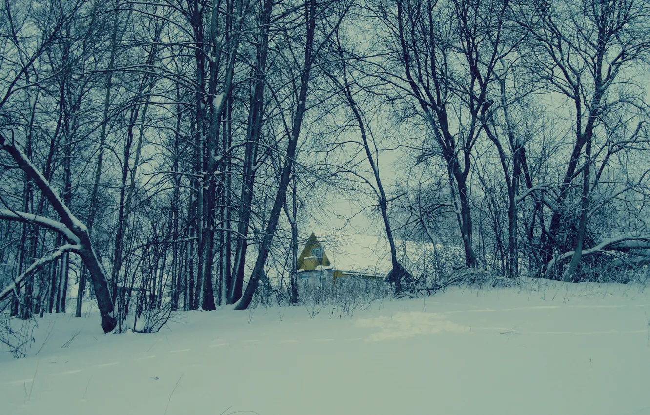 Фото обои снег, деревья, природа, дом