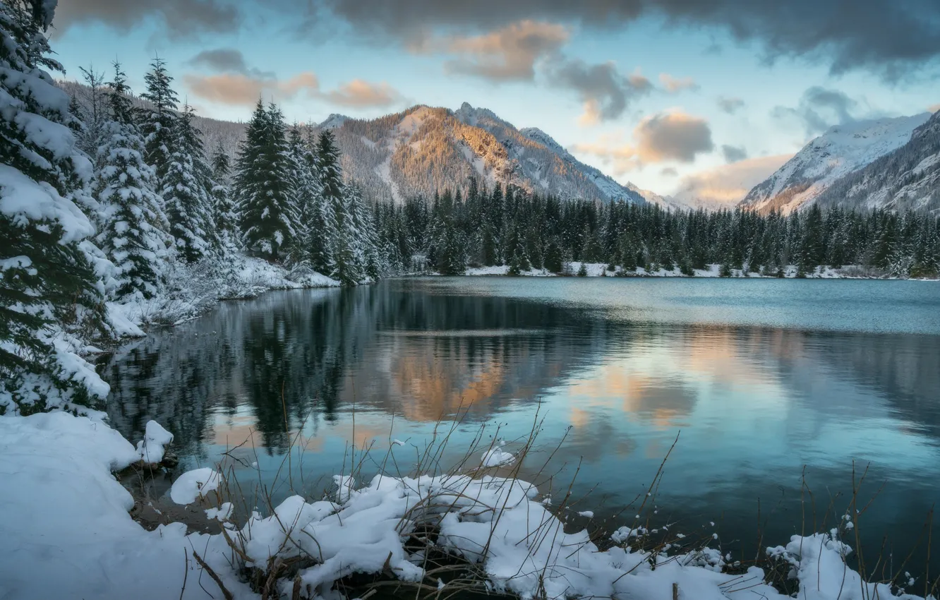 Фото обои зима, лес, облака, снег, горы, озеро, ели, сугробы