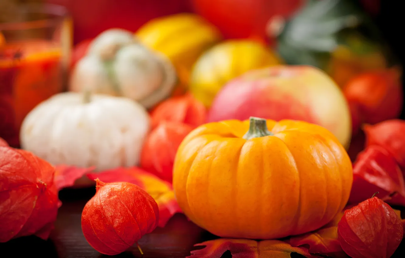 Фото обои осень, урожай, тыква, натюрморт, овощи, autumn, still life, pumpkin