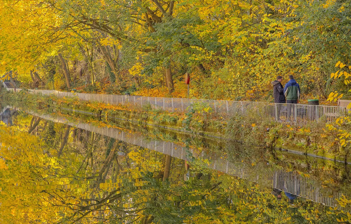 Фото обои осень, парк, Лондон, сад