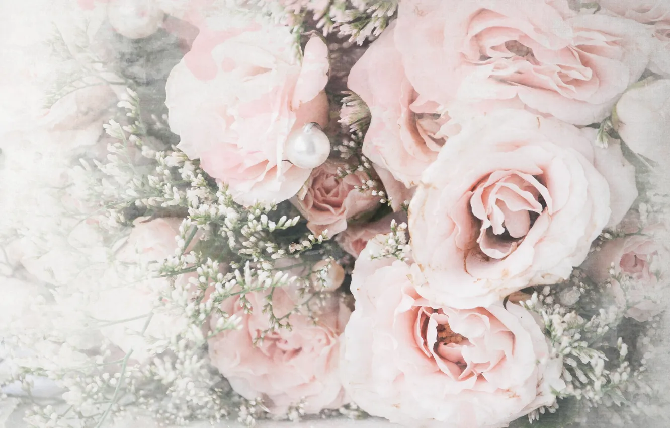 Фото обои цветы, розы, букет, жемчужина