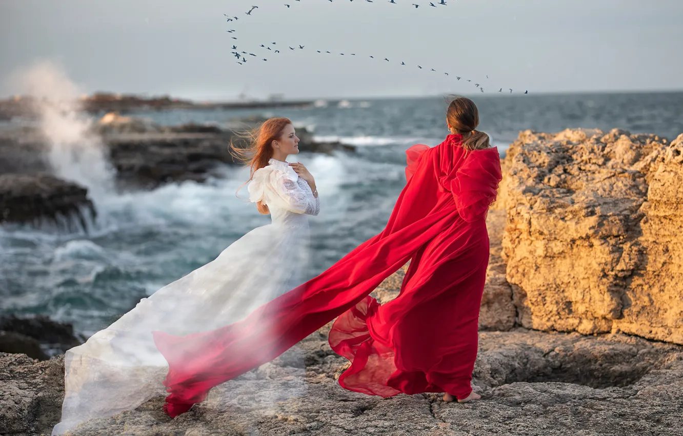 Фото обои море, волны, девушка, природа, поза, камни, скалы, птица