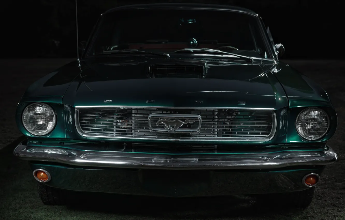 Фото обои Mustang, классика, передок, FORD
